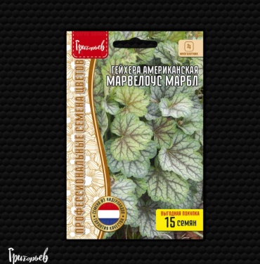 ИП Григорьев гейхера Марвелоус Марбл американская