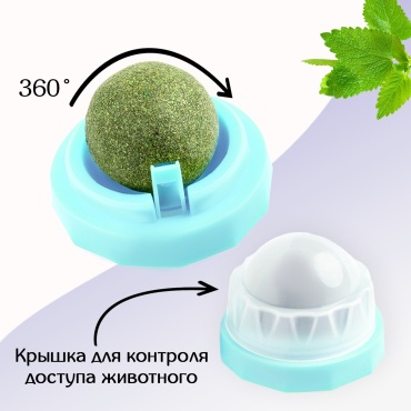 Фото 2