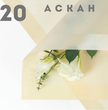 Пленка упаковочная 3 АСКАН 20 шт 58х58 см