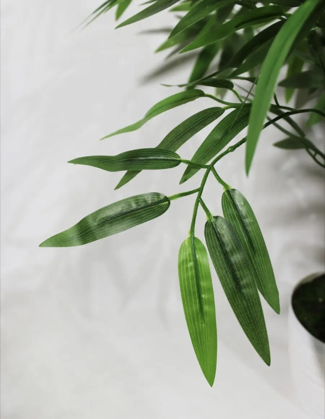 Фото 6