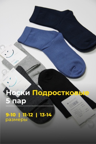 Носки Bitex С3368-11-12 5 пар синий, серый, голубой 11-12 лет