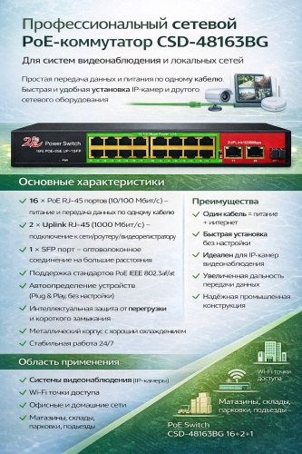 Коммутатор CSD-48163BG