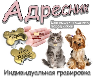 Green Meadow медальон-адресник серебристый, желтый