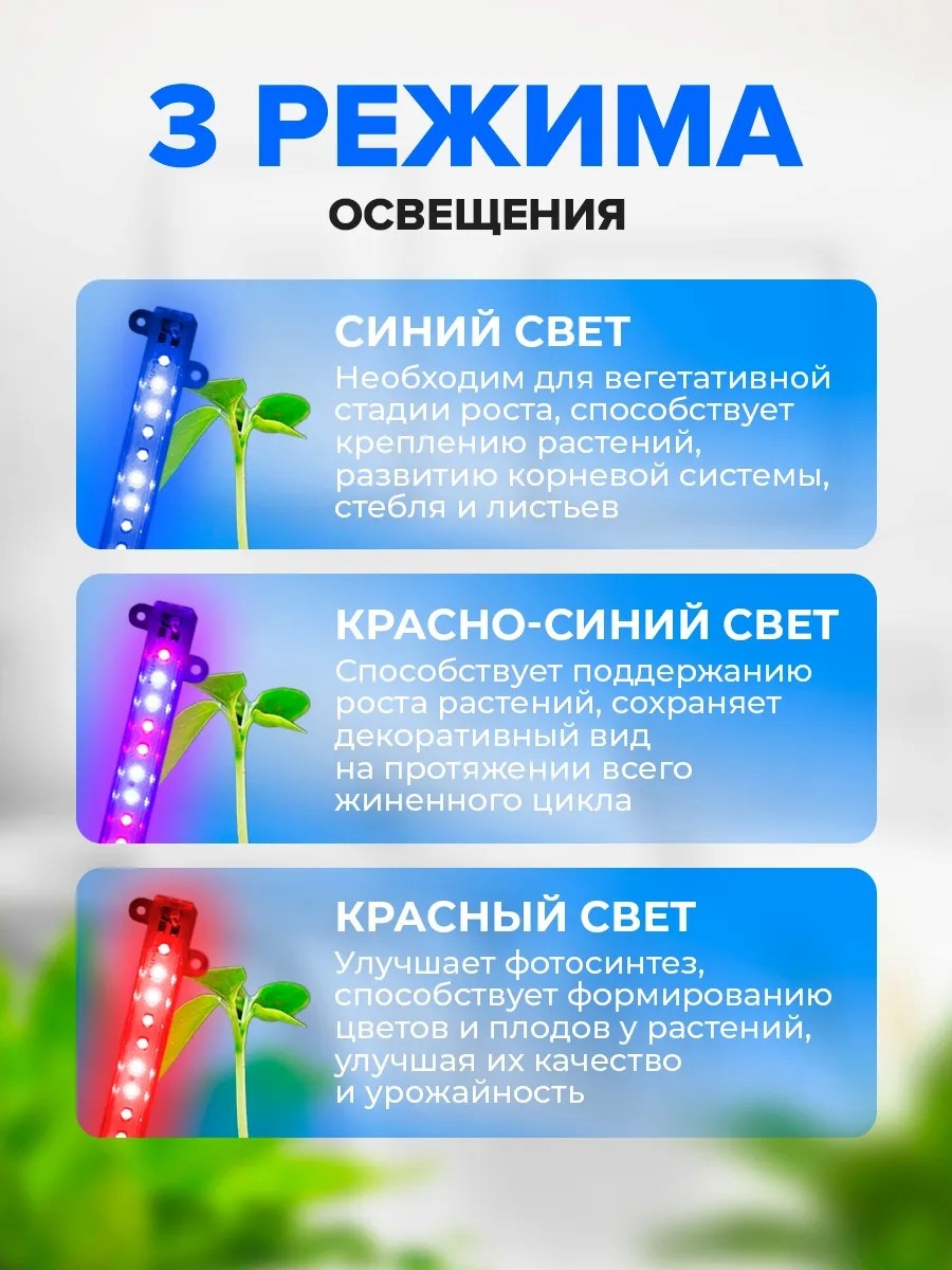 Фото 3