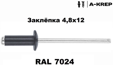 Заклепка 4,8х12 RAL 7024, 200шт