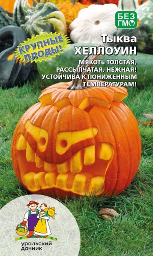 Уральский дачник тыква Хеллоуин
