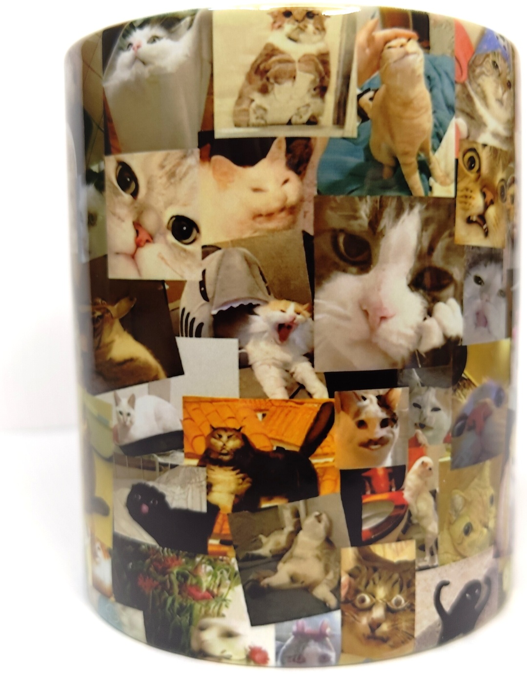 Кружка «Котики», 250 мл, керамика, 1 шт.