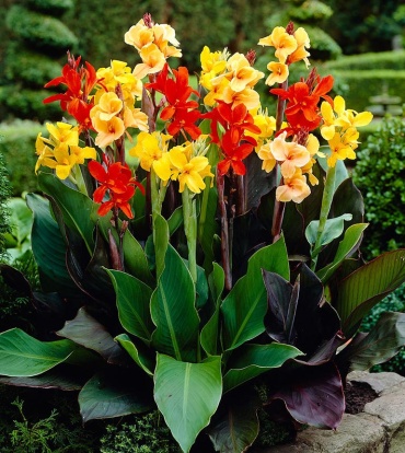Фото 2