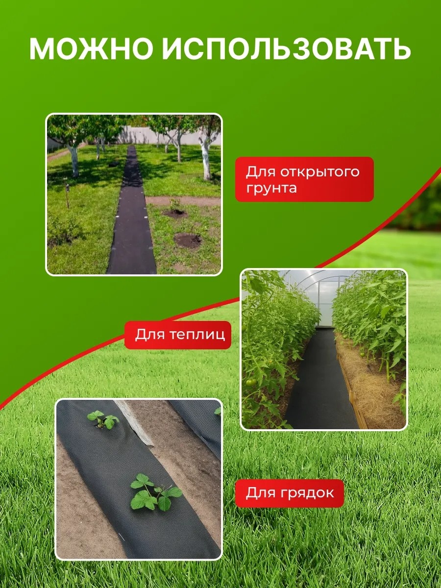 Фото 6
