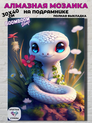 BoomBoomshop 314980289 30x40 см