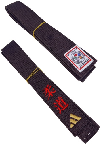 Пояс для дзюдо Champion 475327974 коричневый
