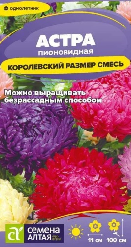 Семена Алтая астра Королевский размер Смесь
