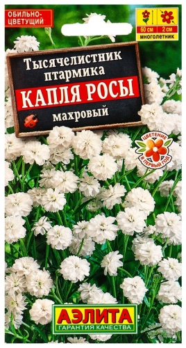 Аэлита тысячелистник Капля росы