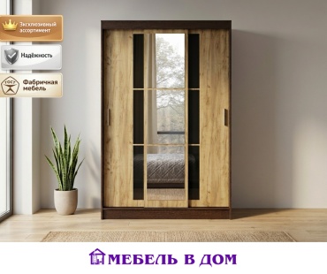 Шкаф-купе Мебель в Дом Денвер, 131x200х50 см, коричневый, темно-коричневый