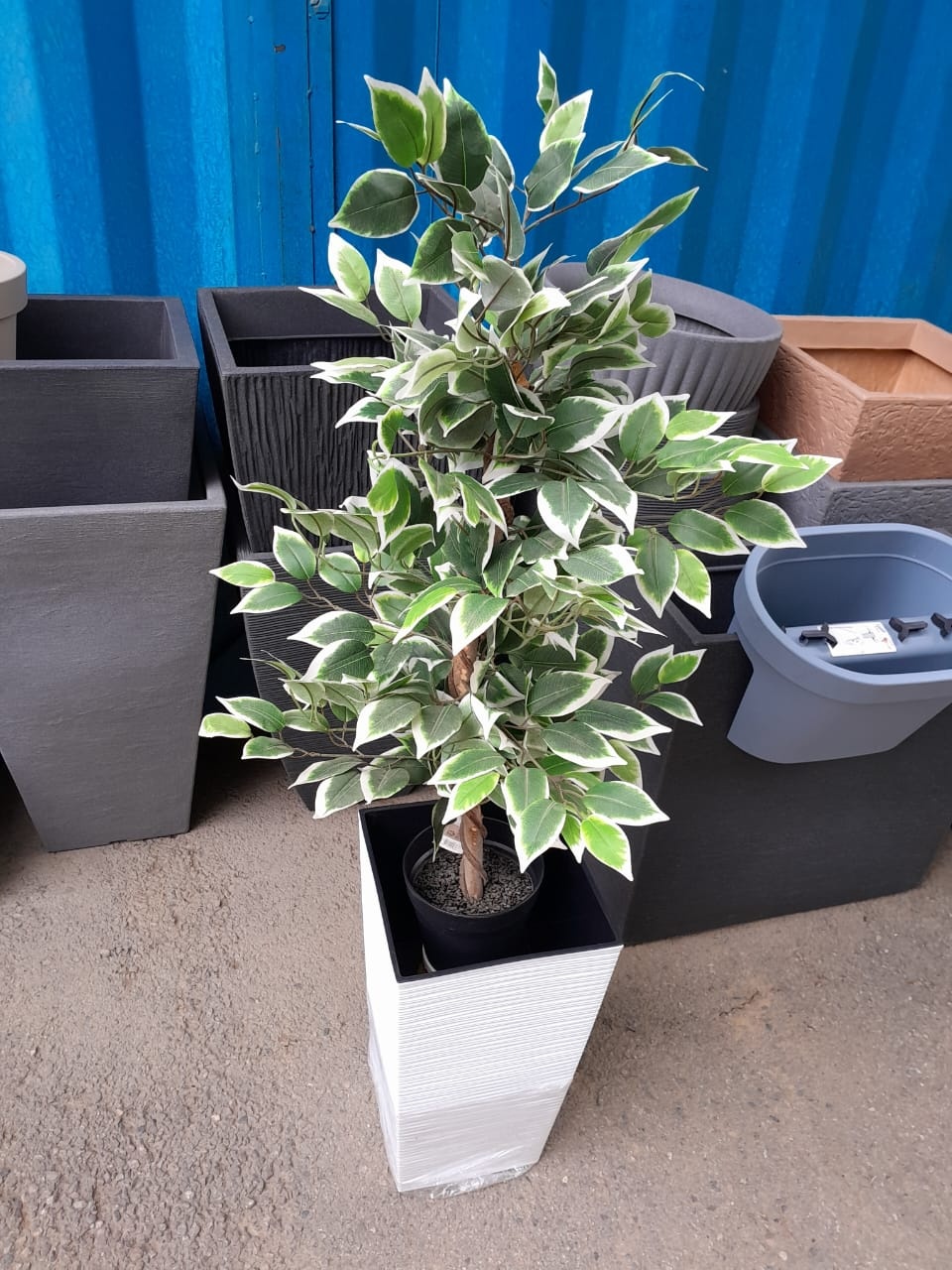 Фото 5