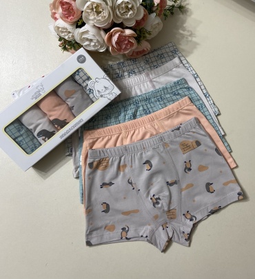Боксеры Lulustore серый