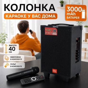 Портативная колонка DANTECH DN-18 черный