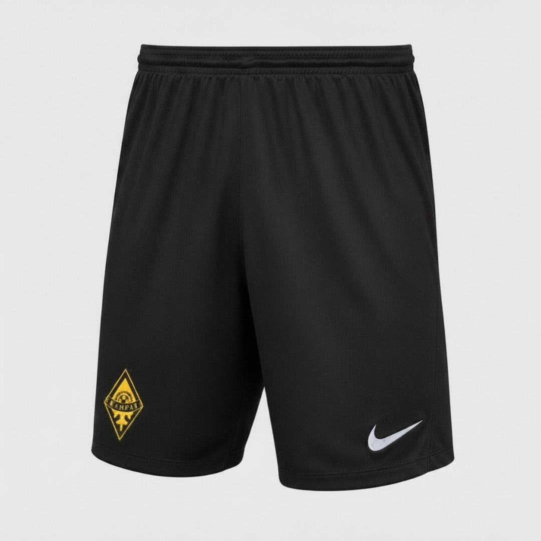 Спортивные шорты Nike черный