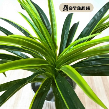 Фото 3