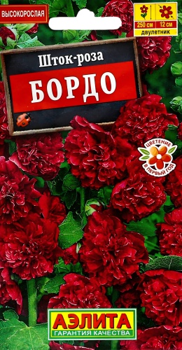 Аэлита мальва шток-роза БОРДО