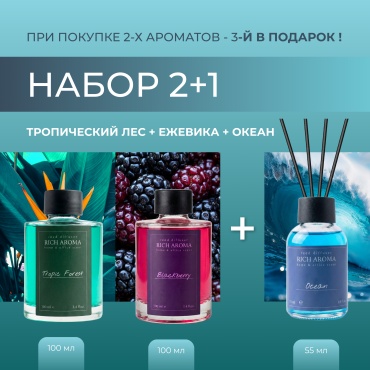 Диффузор с палочками RICH AROMA Тропический Лес 100 мл + Ежевика 100 мл + Океан 55 мл 255 мл