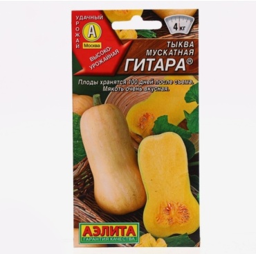 Аэлита тыква Мускатная гитара