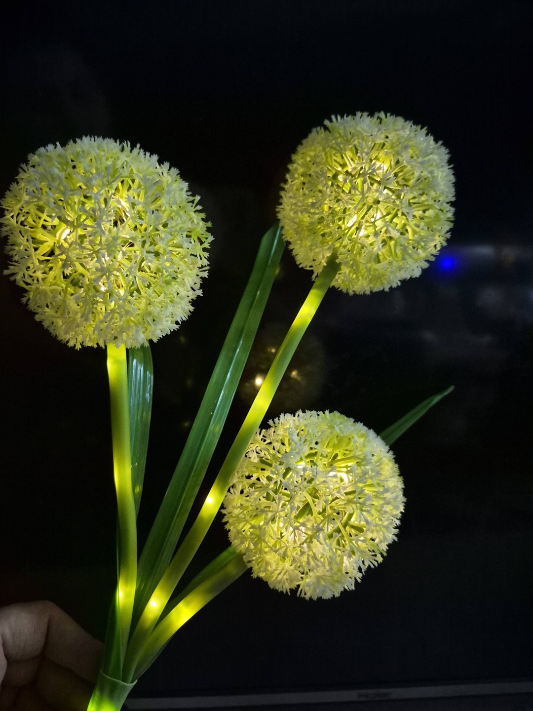 Фото 3