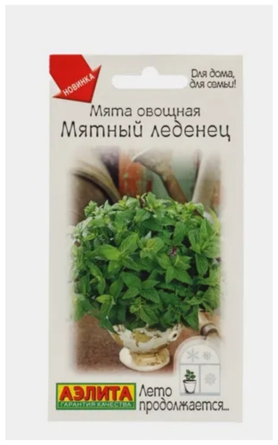 Аэлита мята Мятный леденец