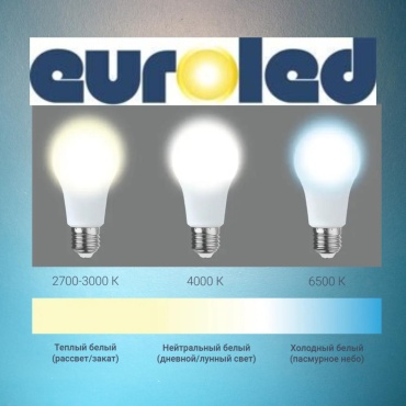 Фото 5