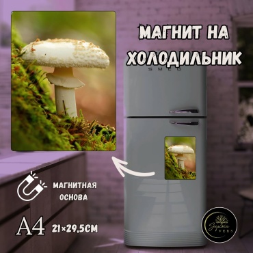 Sequoia VERS магнит-сувенир Дыхание природы. природа, леса. А4 1 шт