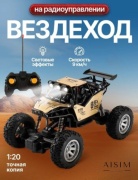 Машинка машинка на радиоуправлении AISIM SK022