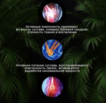 Фото 3