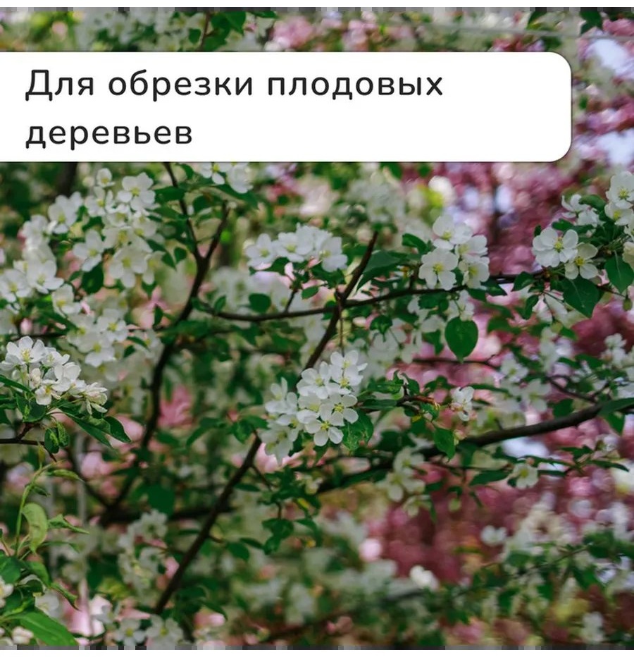 Садовые ножницы универсальное , диаметр среза: 20 мм