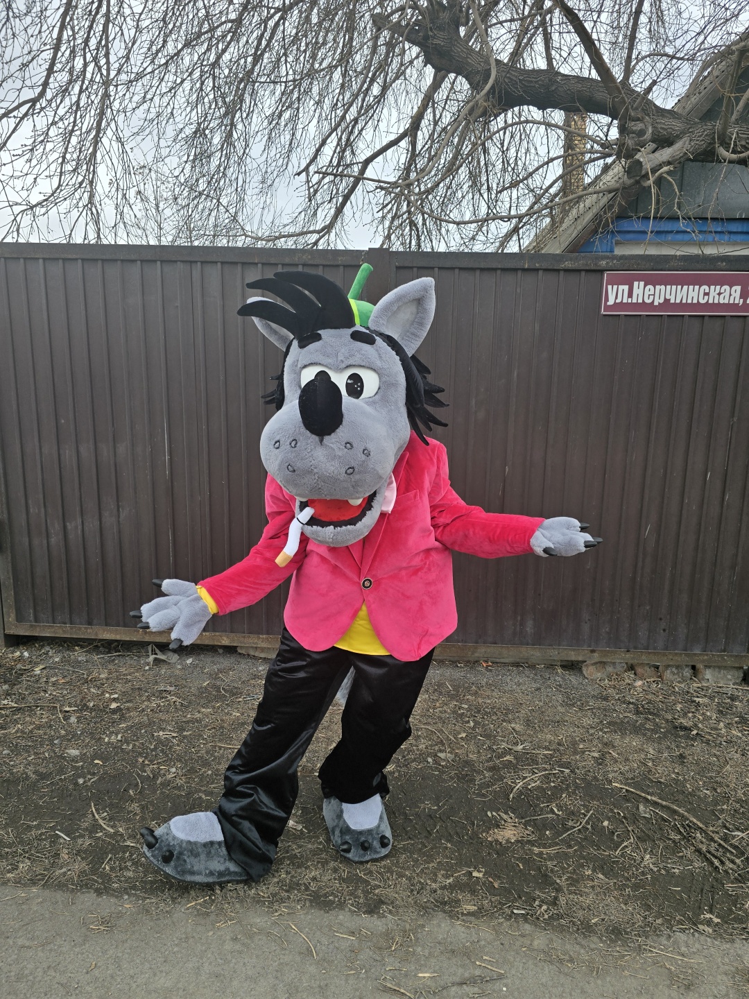 Карнавальный костюм Event Mascot Волк Ну Погоди ростовая кукла карнавальный костюм  мультиколор