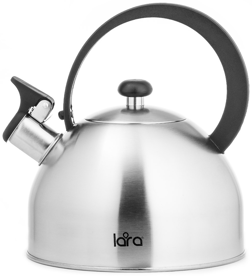 LARA LR00-65 2.5 л, нержавеющая сталь