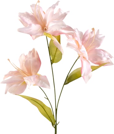 Фото 3