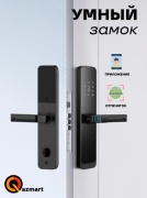 Qazmart электронный QM-SLBr006