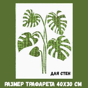 Цветы и растения 400х300