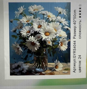 По номерам40/50 Букет Ромашек