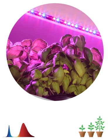 Светодиодная ЭРА FITO-Strip Light-RB-2m 18 Вт, 3000 К