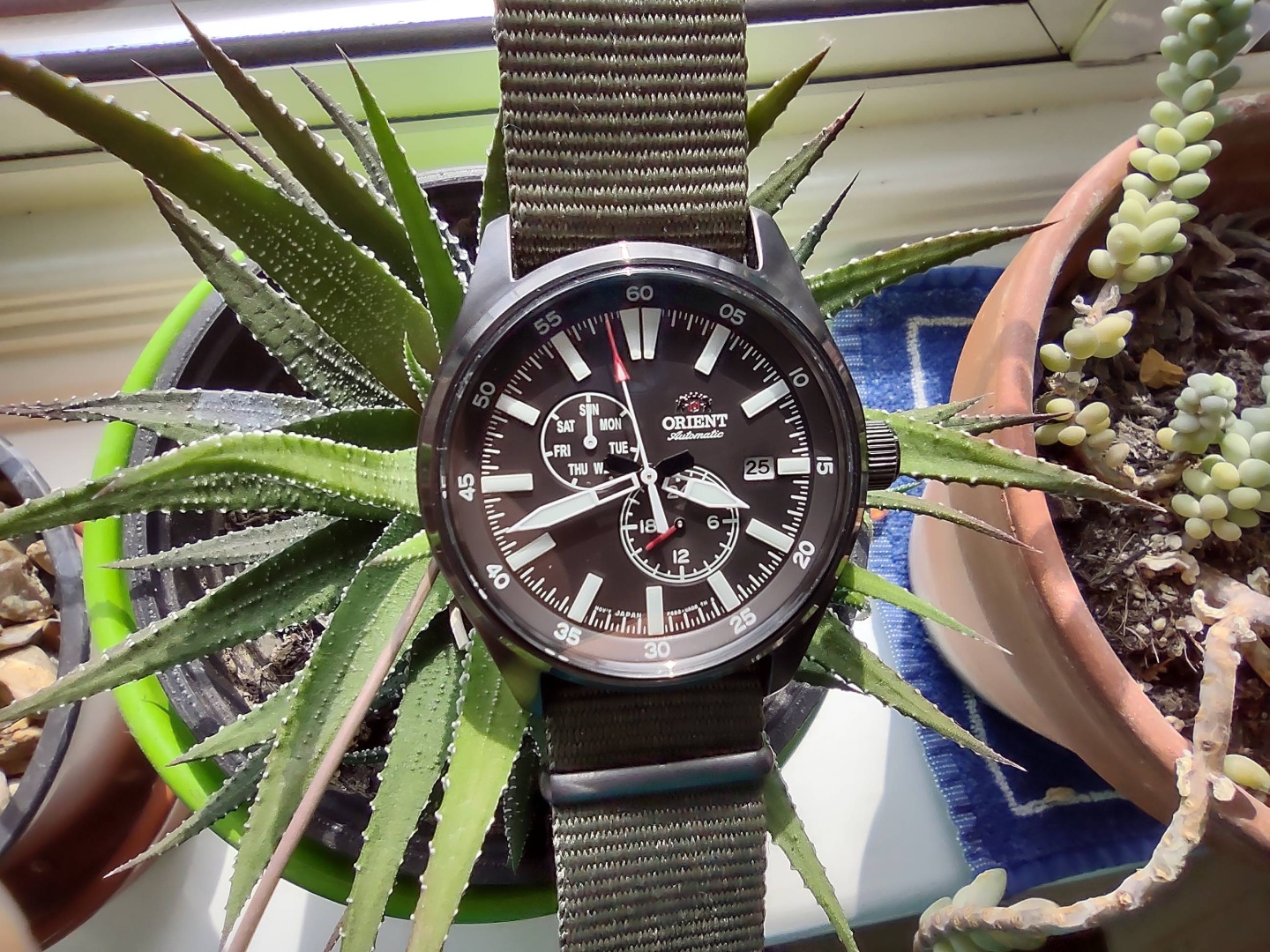 Механические ORIENT Asia/Orient RA-AK0403N30B нержавеющая сталь