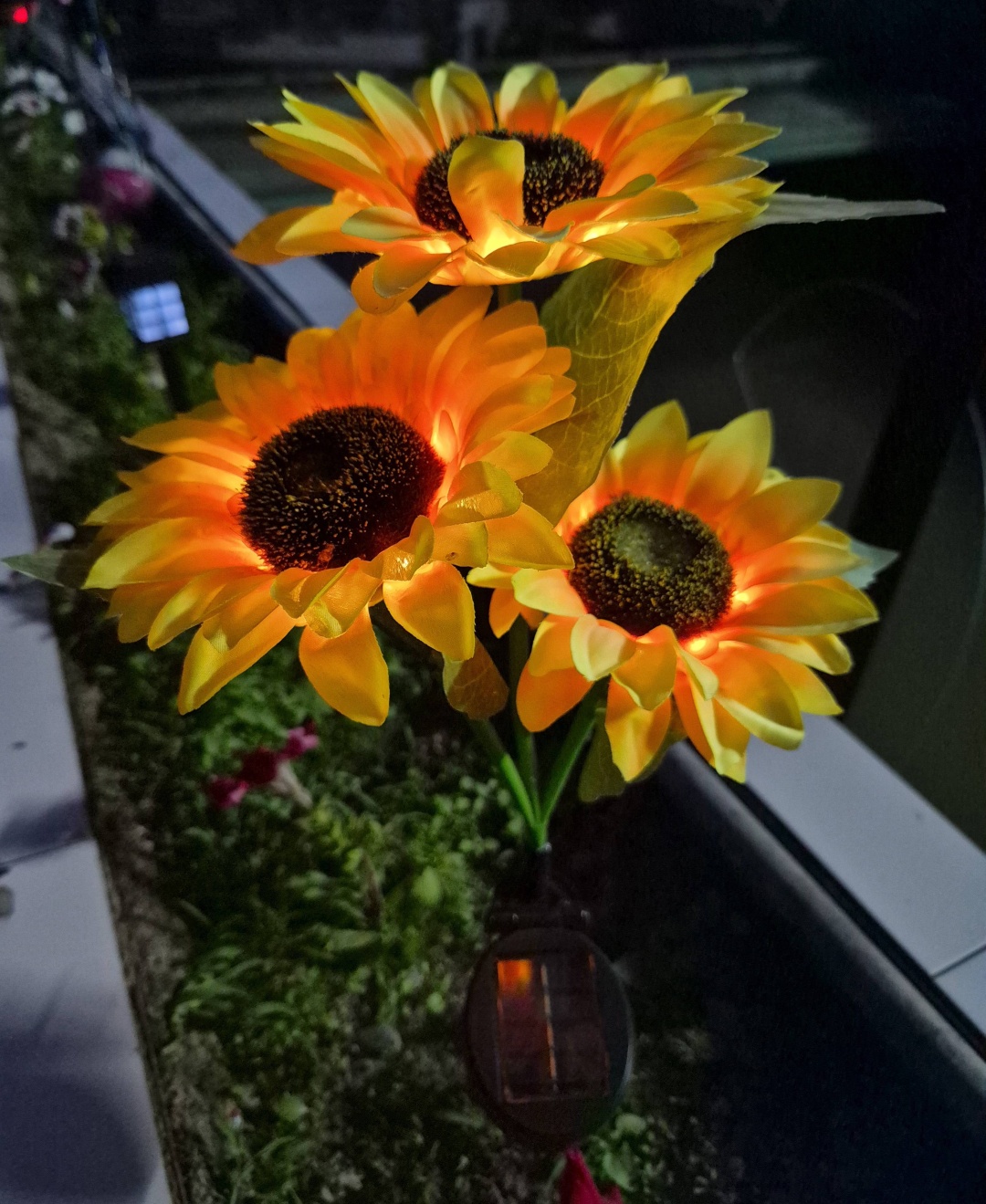 Фото 2