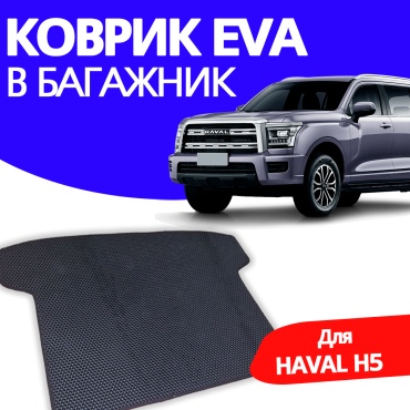 EVA KZ EVA 01205 Haval H5 2025 черный