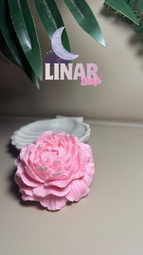 Фото 3
