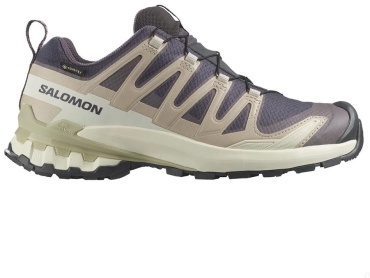 Кроссовки Salomon Xa pro 3d v9 gtx бежевый, фиолетовый