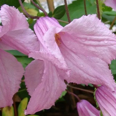 Фото 2