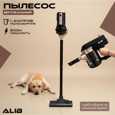 ALIB ADIM черный, золотистый