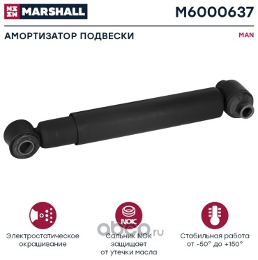 Marshall задний M6000637 1 шт