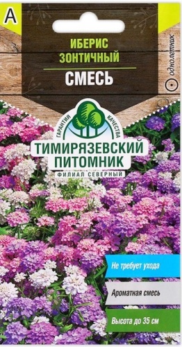 Тимирязевский питомник иберис Зонтичный