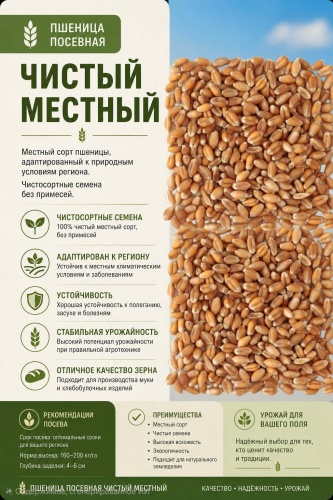 Пшеница местная чистая 1 кг